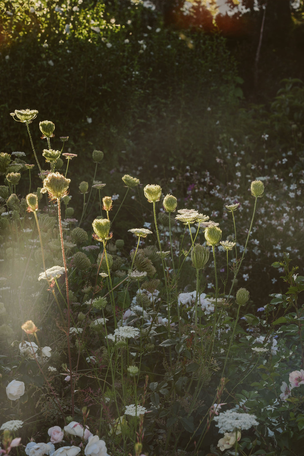 Notes from our first release