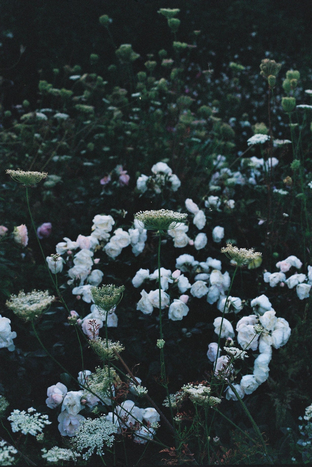 Our first note to you